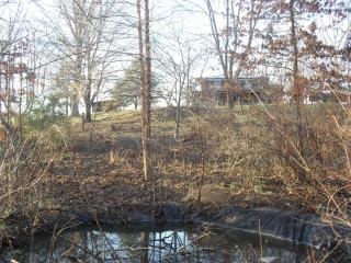 1419_middle_of_section_4_behind_pond.jpg