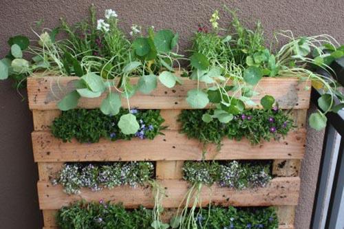 3140_pallet-planter.jpg