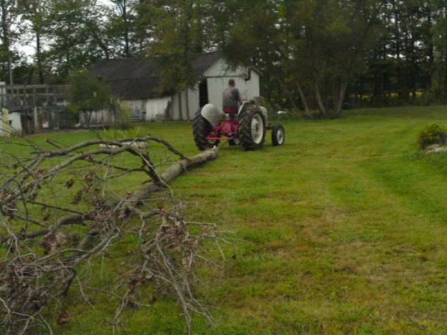 99_tractorpullingtree.jpg