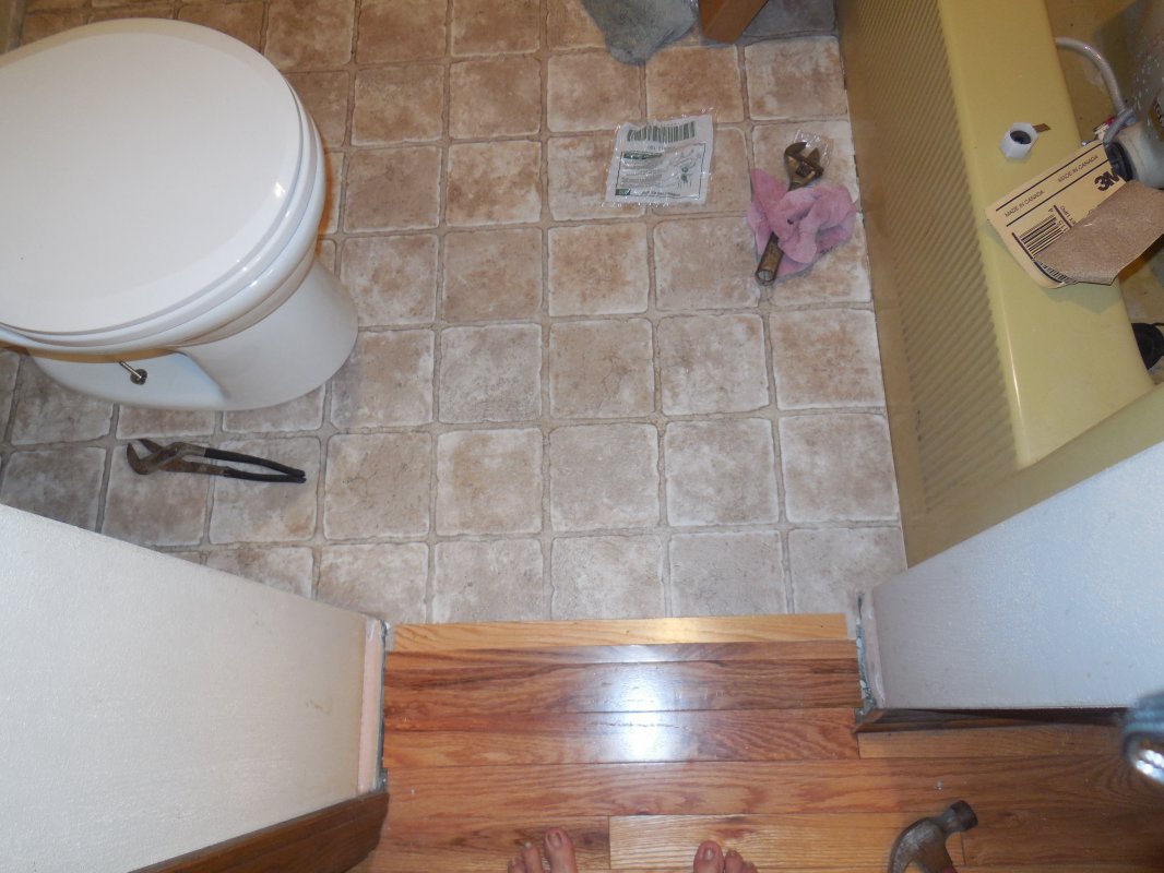 bathroom vinyl down.JPG