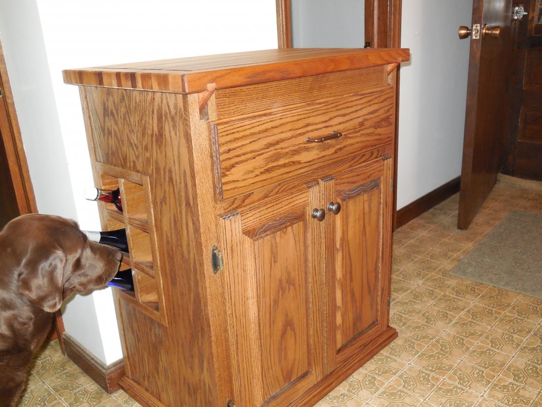 Cabinet w:dog.JPG