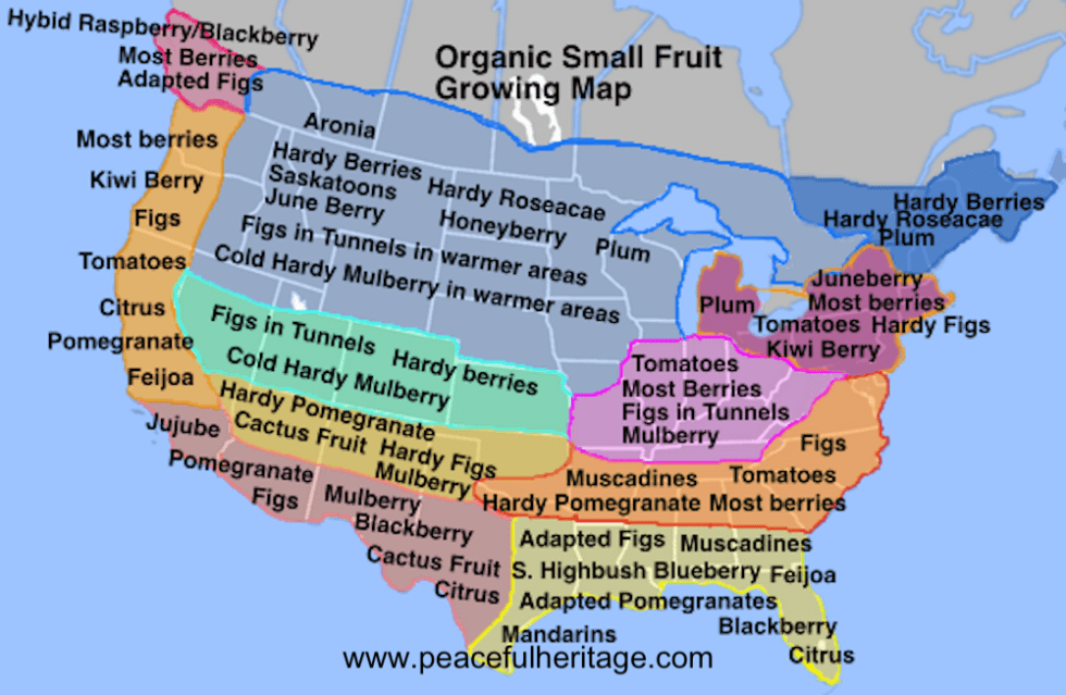 Organic-Small-Fruit-Map-1-980x639.png