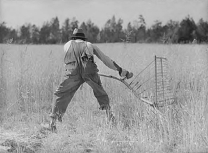 wheat-farmer-1024x755.png