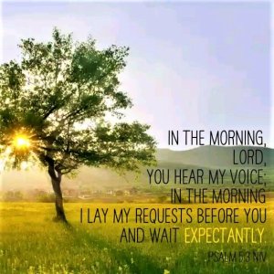 psalm-5-v-3-in-the-morning-you-hear-my-voice.jpg