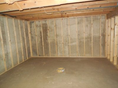 basement growing room.JPG