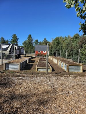 Raised beds 1.jpg